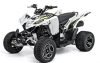 Aeon ATV 300cc 